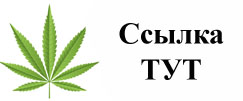 Купить наркотики в Зернограде
